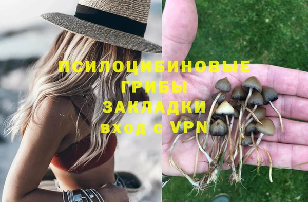 меф Алапаевск