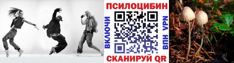 Купить закладки  Белая Калитва  Галлюциногенные грибы Psilocybine cubensis 